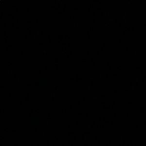 Meet your Posher, Tameka